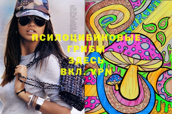 spice Касимов