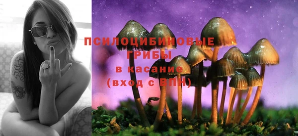 тгк Карталы