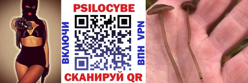 Псилоцибиновые грибы Cubensis  Купить где  Оса 