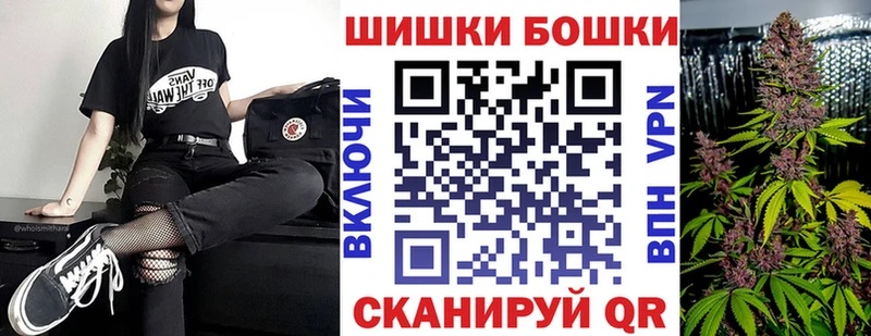 Купить где  Оса  МАРИХУАНА семена 